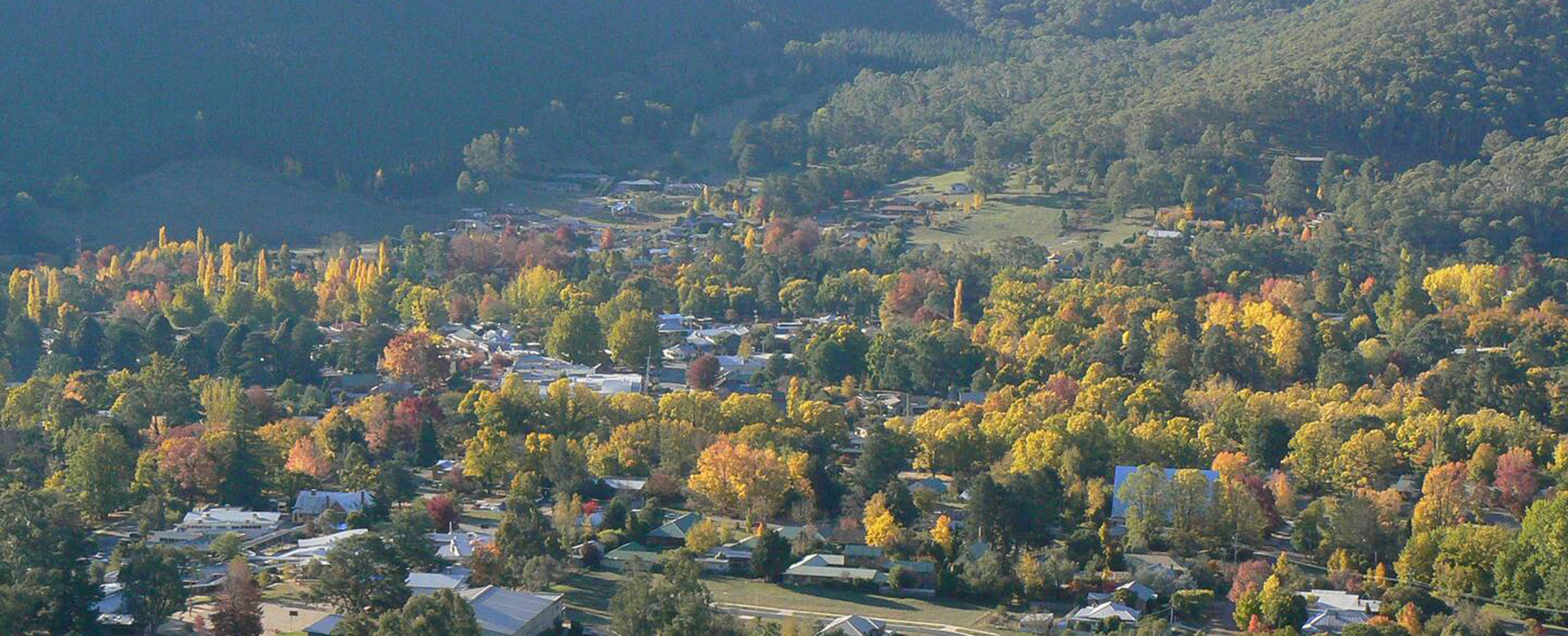41.--Bright-with-Mt-Feathertop-in-the-background