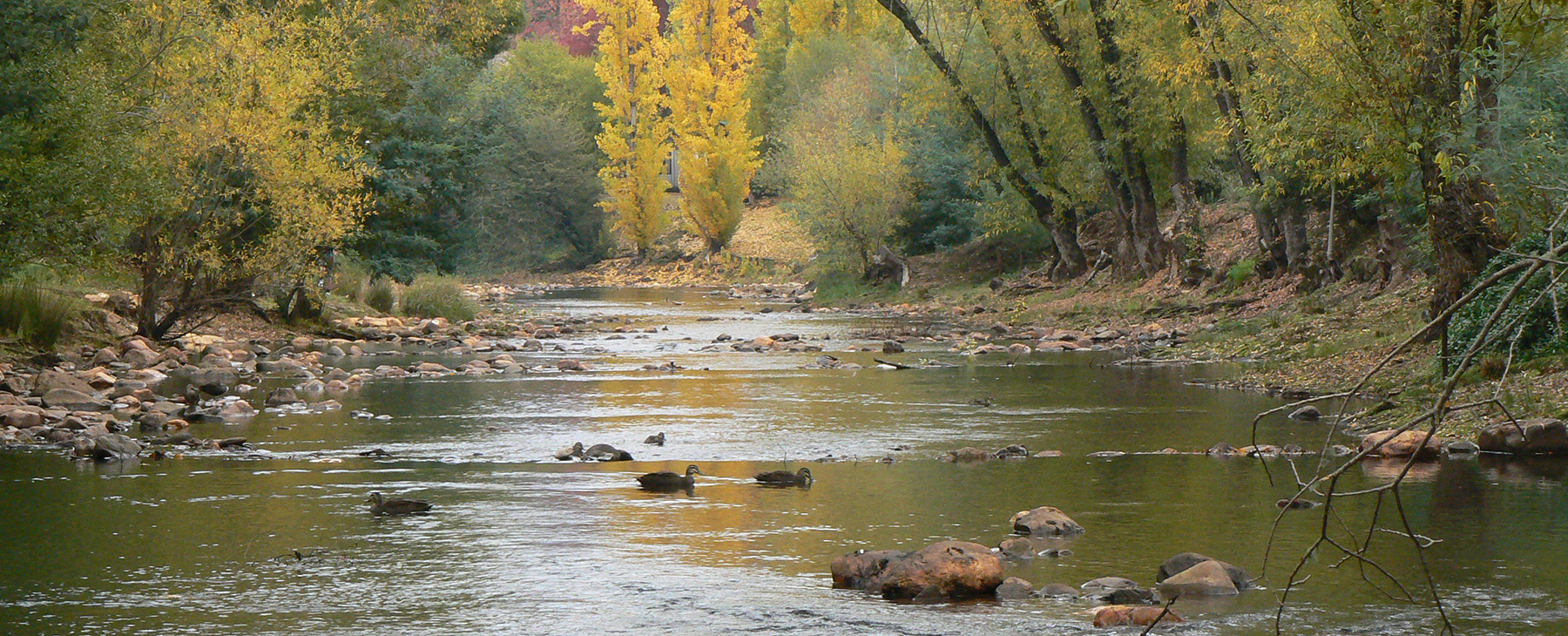 20-The-Ovens-River-and-riverside-walks-is-150m-away