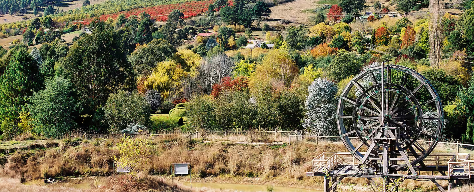 12-Our-valley.--The-most-beautiful-in-Victoria
