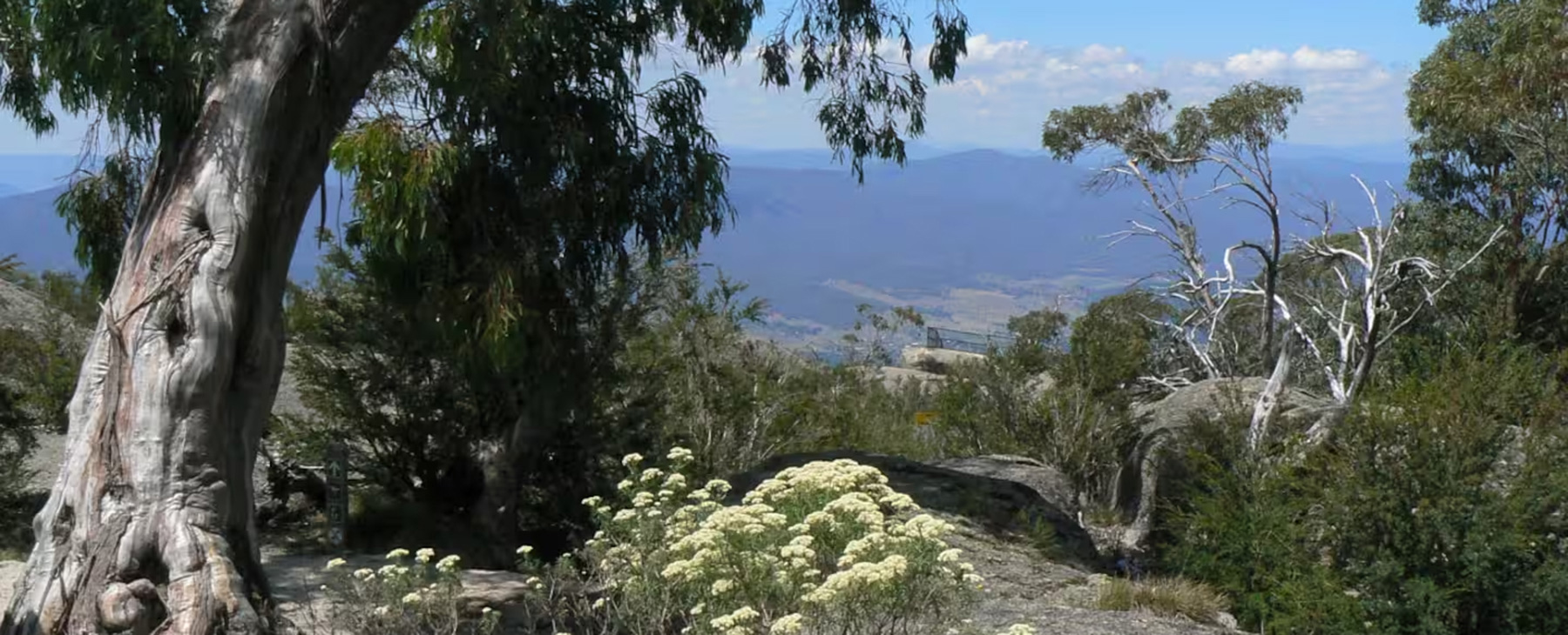 14-Mt-Buffalo-Bush-Walks.--40-minutes-to-the-top