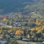 41.--Bright-with-Mt-Feathertop-in-the-background