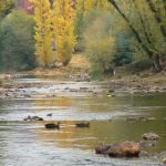 20-The-Ovens-River-and-riverside-walks-is-150m-away