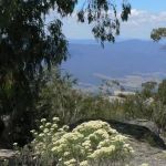 22.--Take-a-day-trip-to-Mt-Buffalo---20-minutes-away
