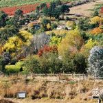 25--Our-valley---the-most-beautiful-in-Victoria